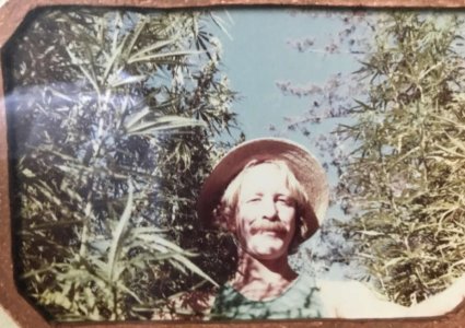 download (10).jpeg download (10).jpeg