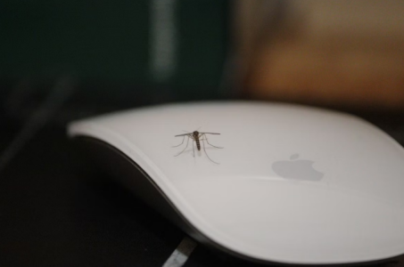 Capture.PNG Capture.PNG