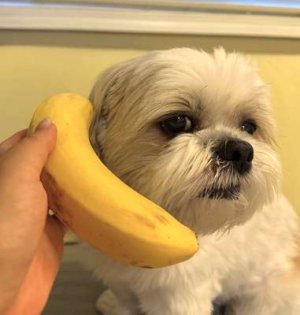 compressed-IaxrzLvH1NdgzkRN6Tfb-Oqn55aXF8rNFdYMgVnpf74.jpeg compressed-IaxrzLvH1NdgzkRN6Tfb-Oqn55aXF8rNFdYMgVnpf74.jpeg