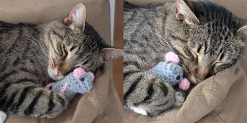 compressed-TGV (79).jpeg compressed-TGV (79).jpeg