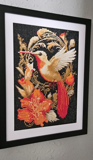 Hummingbird.jpg Hummingbird.jpg