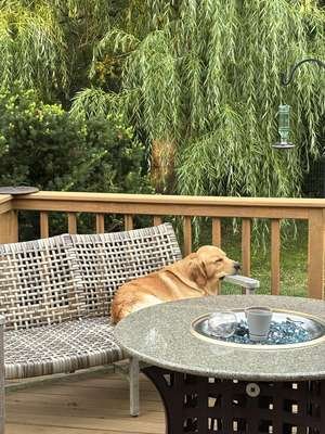 compressed-sleepy boy.jpeg compressed-sleepy boy.jpeg