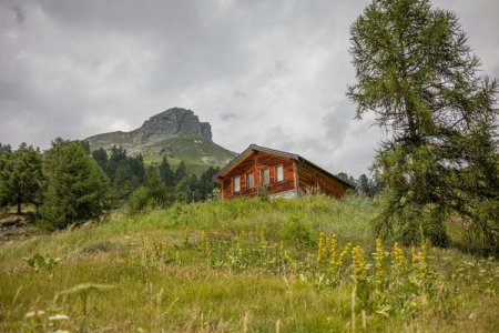 compressed-pexels-david-fantin-117693534-33200340.jpeg compressed-pexels-david-fantin-117693534-33200340.jpeg