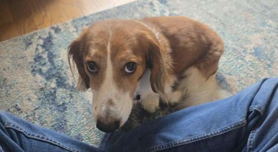 compressed-tkb38cr5rtgf1.jpeg compressed-tkb38cr5rtgf1.jpeg