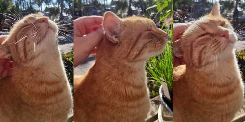 compressed-TGV (82).jpeg compressed-TGV (82).jpeg