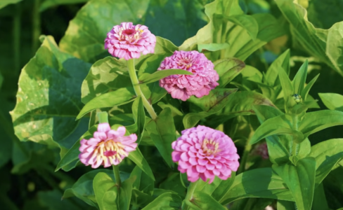 Screenshot 2025-08-07 at 1.28.56 AM.png Screenshot 2025-08-07 at 1.28.56 AM.png