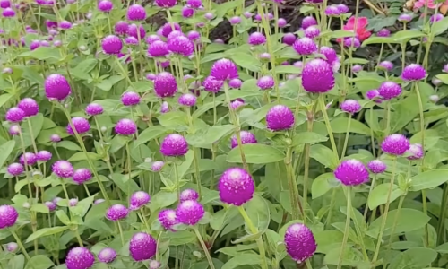 Screenshot 2025-08-07 at 1.34.07 AM.png Screenshot 2025-08-07 at 1.34.07 AM.png