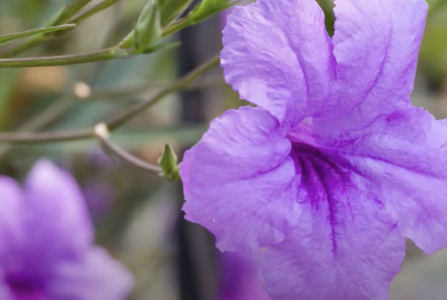 Screenshot 2025-08-07 at 1.35.56 AM.png Screenshot 2025-08-07 at 1.35.56 AM.png