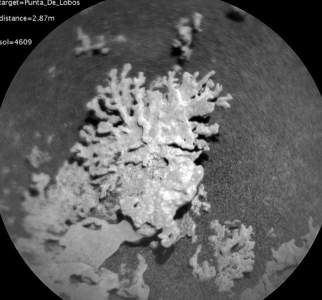 Screenshot 2025-08-08 at 12.20.29 AM.png Screenshot 2025-08-08 at 12.20.29 AM.png