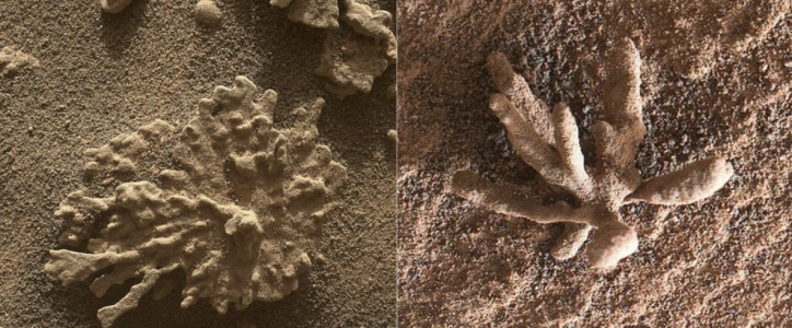 Screenshot 2025-08-08 at 12.19.46 AM.png Screenshot 2025-08-08 at 12.19.46 AM.png