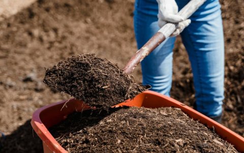 Screenshot 2025-08-11 at 1.12.20 AM-converted-from-png.jpeg Screenshot 2025-08-11 at 1.12.20 AM-converted-from-png.jpeg