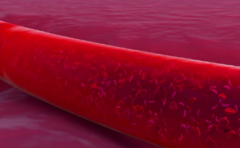 Capture.PNG Capture.PNG