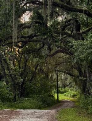 compressed-9kjujpyzxujf1.jpeg compressed-9kjujpyzxujf1.jpeg