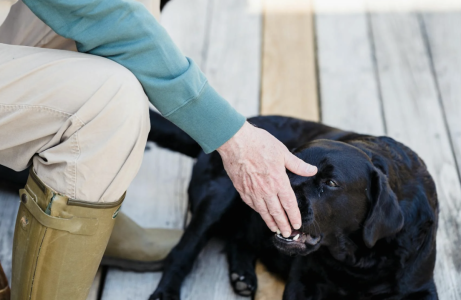 Screenshot 2025-08-18 at 10.12.12 PM.png Screenshot 2025-08-18 at 10.12.12 PM.png