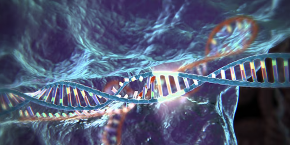 Screenshot 2025-08-24 at 8.46.00 PM.png Screenshot 2025-08-24 at 8.46.00 PM.png