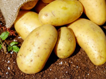 Screenshot 2025-08-24 at 10.20.32 PM-converted-from-png.jpeg Screenshot 2025-08-24 at 10.20.32 PM-converted-from-png.jpeg