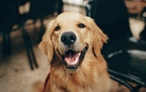 Screenshot 2025-08-27 at 7.54.51 PM.png Screenshot 2025-08-27 at 7.54.51 PM.png