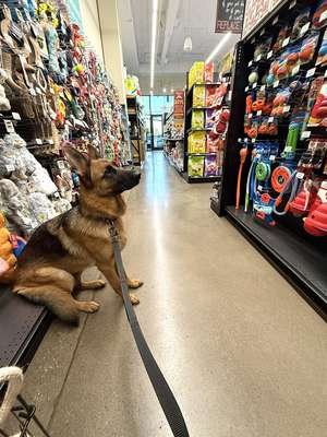 compressed-decisions.jpeg compressed-decisions.jpeg