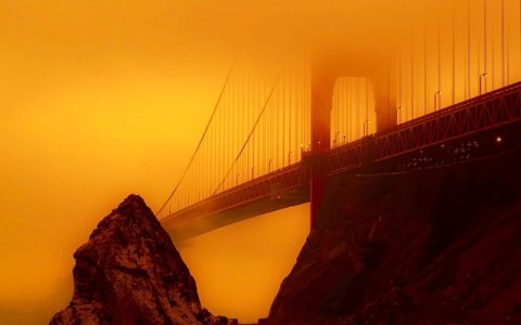 [TGV] Resized Photos (32).png