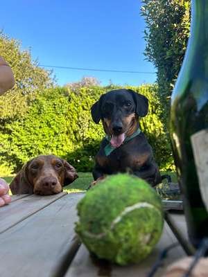 compressed-zwqd0dlcsumf1.jpeg compressed-zwqd0dlcsumf1.jpeg