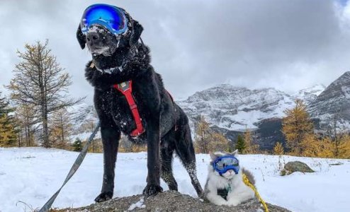 9-5 aotd.jpeg 9-5 aotd.jpeg