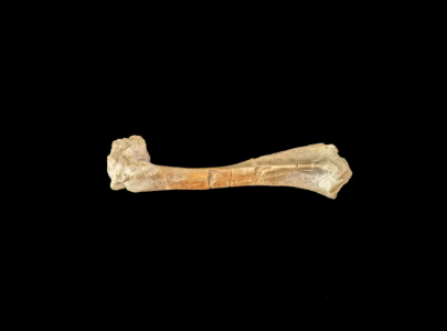 Screenshot 2025-09-01 112830.png Screenshot 2025-09-01 112830.png