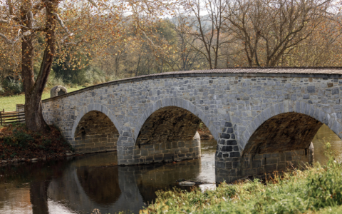 67181-[TGV] Resized Photos (38).png