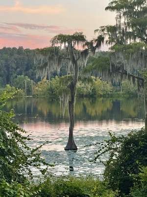 compressed-whimsy.jpeg compressed-whimsy.jpeg