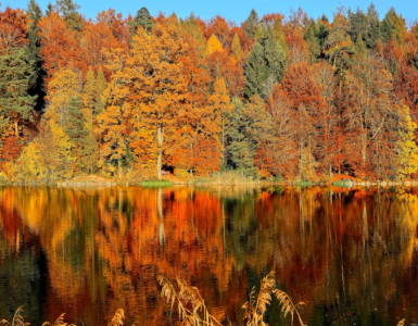 Screenshot 2025-09-01 112830.png Screenshot 2025-09-01 112830.png