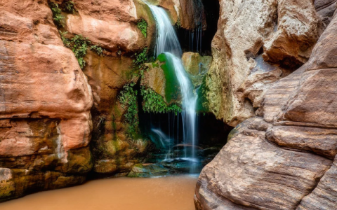 [TGV] Resized Photos (43).png