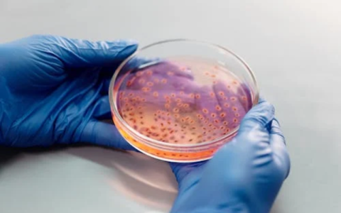 [TGV] Resized Photos (45).png