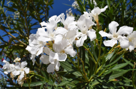 Screenshot 2025-09-12 150227.png