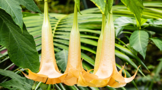 Screenshot 2025-09-12 150235.png Screenshot 2025-09-12 150235.png