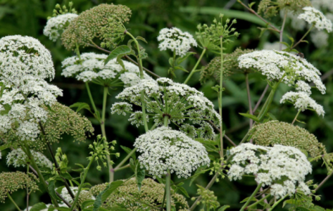 Screenshot 2025-09-12 150242.png Screenshot 2025-09-12 150242.png