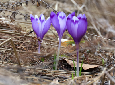 Screenshot 2025-09-12 150250.png Screenshot 2025-09-12 150250.png