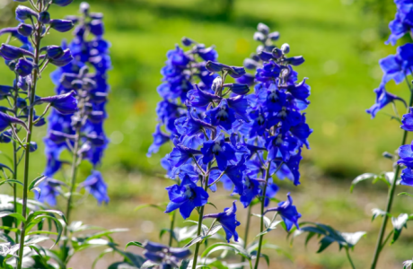 Screenshot 2025-09-12 150330.png Screenshot 2025-09-12 150330.png