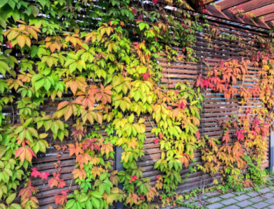 Screenshot 2025-09-12 150337.png Screenshot 2025-09-12 150337.png