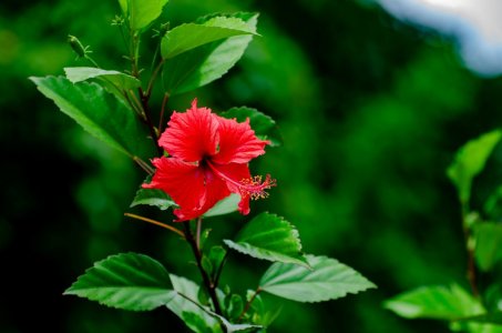 pexels-william-zali-7863870-33913111.jpg pexels-william-zali-7863870-33913111.jpg