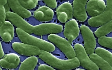 Screenshot 2025-09-21 at 8.42.19 PM.png Screenshot 2025-09-21 at 8.42.19 PM.png