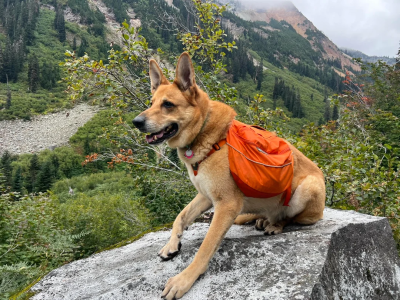 image (151).png image (151).png