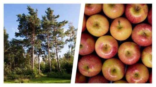 67519-9-18 WITIS.jpeg 67519-9-18 WITIS.jpeg