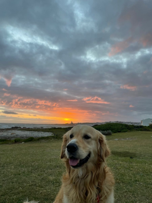 4ezjzsz421rf1.png 4ezjzsz421rf1.png