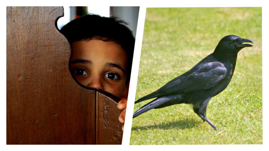 67775-y3bEjUoJoXR6H2nlamvCf_PULBVJhiZRP_60KAIBrtQ.png 67775-y3bEjUoJoXR6H2nlamvCf_PULBVJhiZRP_60KAIBrtQ.png