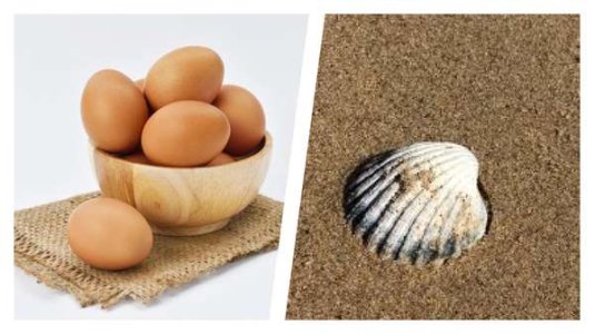 67843-9-25 WITIS.jpeg