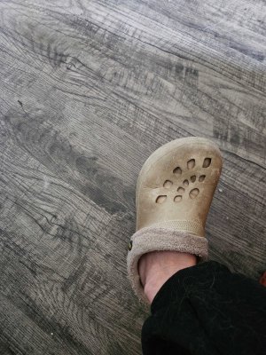 Ugly Crocs.jpg
