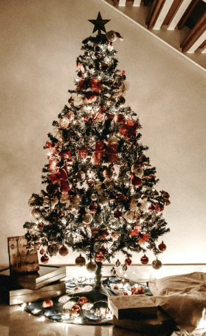 Screenshot 2025-09-30 at 10.32.59 PM.png