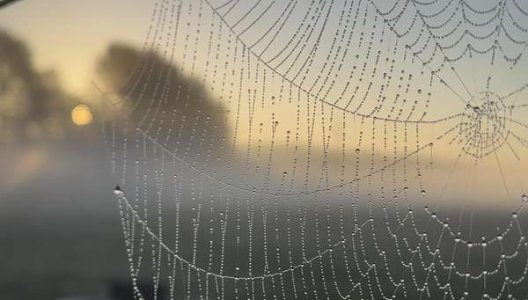 10-2 potd.jpeg 10-2 potd.jpeg