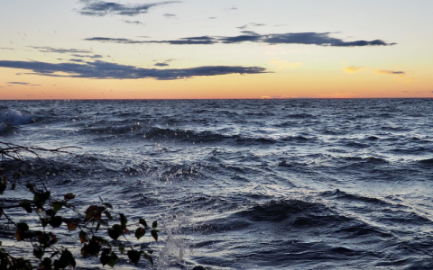 [TGV] Resized Photos (48).png