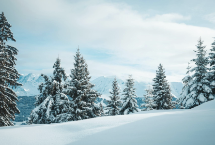 Screenshot 2025-10-07 at 12.15.40 AM.png